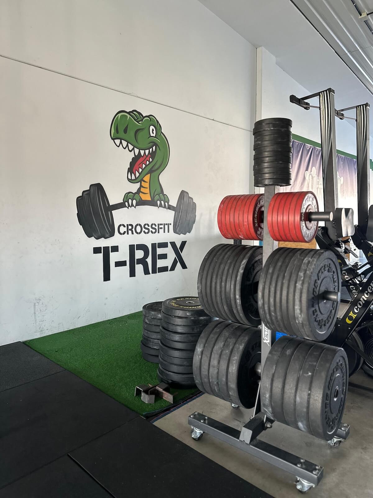 Fotos del Box de Crossfit en Fuelabrada T-Rex